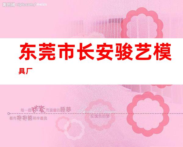 东莞市长安骏艺模具厂