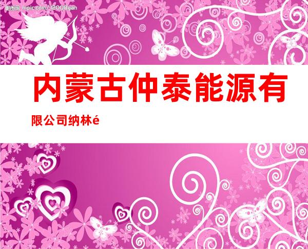 内蒙古仲泰能源有限公司纳林陶亥分公司