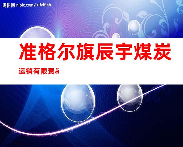 准格尔旗辰宇煤炭运销有限责任公司