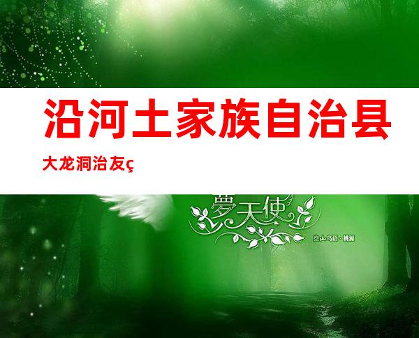 沿河土家族自治县大龙洞治友砖厂